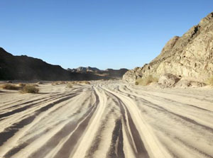 Tracks in the Qatar desert