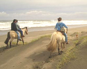 Horseback riding in Chiloe National Park in Chile