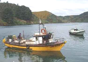 A boat in the harbor in Chiloe, Chile