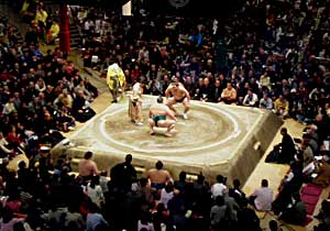 Fans turn up in hordes to watch the top sumo wrestlers clashing. Photos by Lucy Corne 