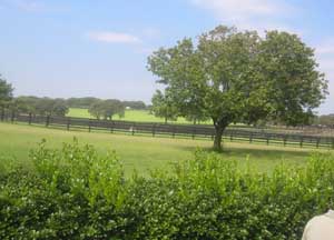 Some of the 18 miles of fencing at Valor Farm in North Texas