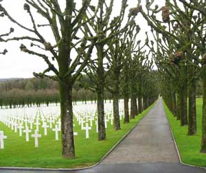 The American Military Cemetery of Romagne-sous-Montfaucon with regimented rows of French-pruned treesThe American Military Cemetery of Romagne-sous-Montfaucon with regimented rows of French-pruned trees