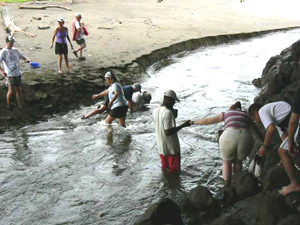 Crossing a river by the beach near Nuqui, Colombia. photos by Max Hartshorne.