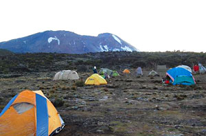 Morning at Shira camp