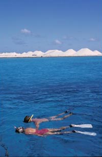 Snorkeling the crystal clear waters of Bonaire. photo by Toccoa Switzer.