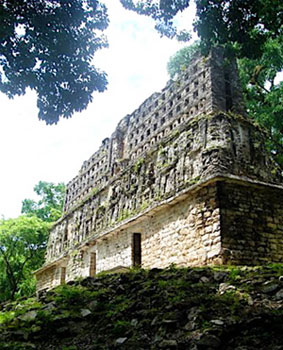 This building, labeled Edifice 19 is remarkable for its intricate, well preserved roof comb. Photos by Anna Laird Barto