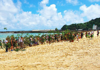 Men gather on the beach in Okinawa Japan.