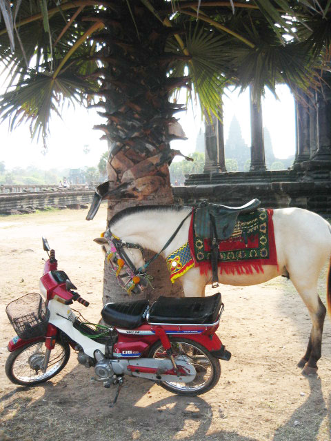 The new, the old, and the very old at Angkor Wat in Cambodia