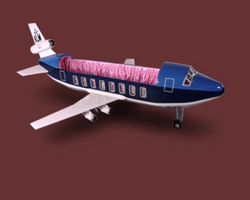 Airplane coffin.