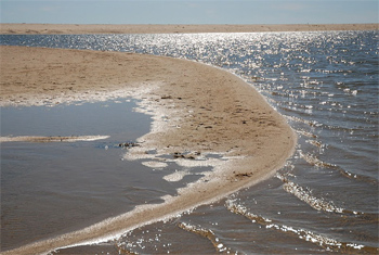 An up-island beach in Martha's Vineyard.