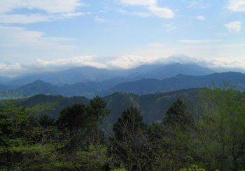 The view from the summit. On clearer days, you can see Mt. Fuji.