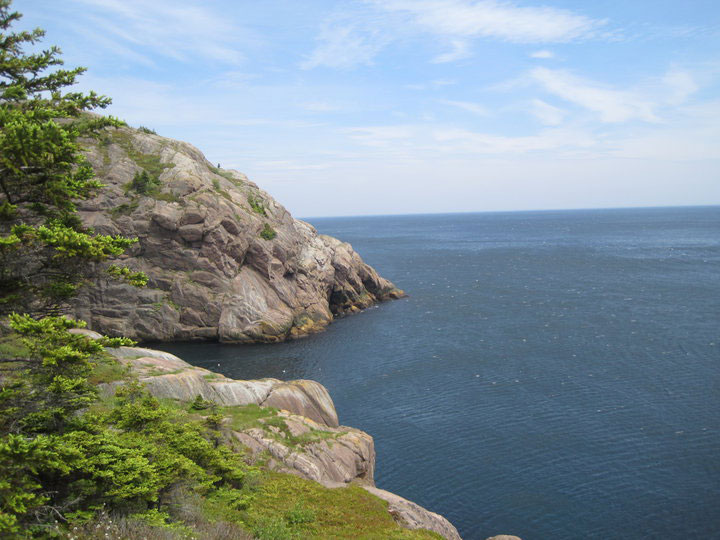 View from the East Coast Trail in Newfoundland