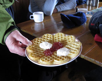 A waffle!