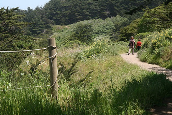 Hiking along the Lands End Trail in San Francisco. Christina Lalanne photos.