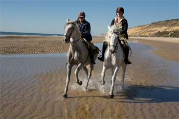 Canter the beaches of Donana National Park, Spain.