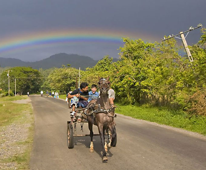 A horsecart near Cajobado, Cuba