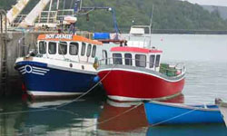 West Cork boats. 