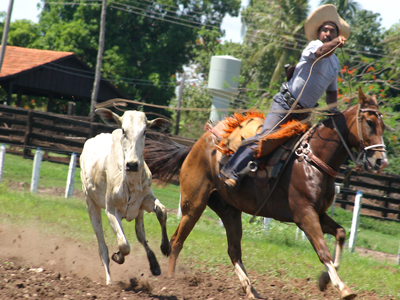 Laco competitions are part of the culture in Pantanal.