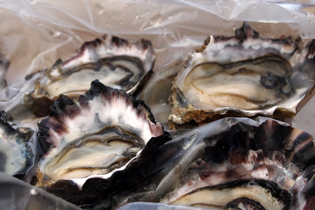 Oysters are a Coromandel specialty...perfectly fresh, briny and delicious, from a roadside stand.