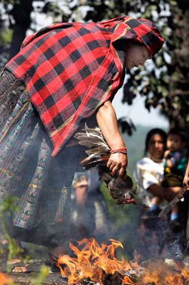 sacrifice chichicastenango