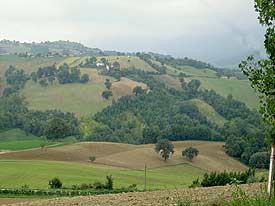 Rolling hillsides of Sant'Angelo in Pontana, Italy. Max Hartshorne photo.