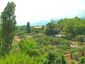 The view from a room at Opio, Cote d'Azure France