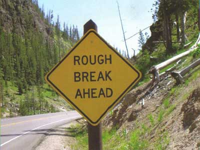 Hazards on the highway of life. Yellowstone National Park, Wyoming