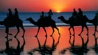 One of David Rich's incomparable photos, this one from Bodrum, Turkey