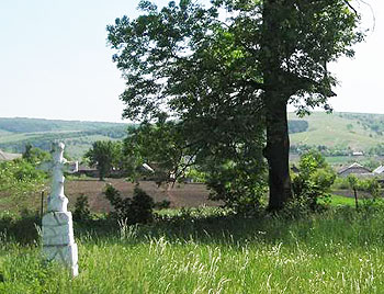 An old village cemetery near Ternopil