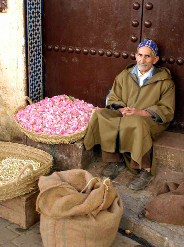 The souk in Fez. Photo by Janis Turk.