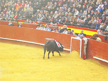 The matador retreats behind a barrier.
