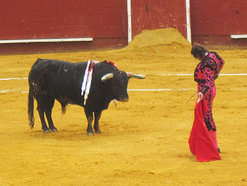 The Matador prepares to make his kill.