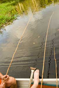 Piranha fishing - photos by Jason Gardner