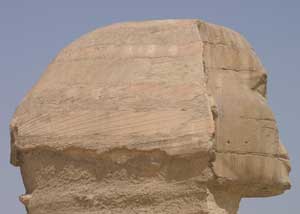 Nose for Trouble – the Sphinx