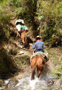 Splashing across a mountain creek