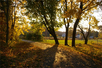 Sunset on the bike trail.