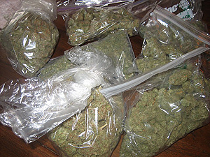 High Times: Bags full of "Blue Dream" a perfect hybrid that blends both the Sativa cerebral high and Indica--a heavy body high.