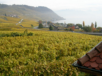 Lavaux Vineyards on Lake Geneva.