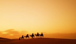 Camels are a frequent site atop these dunes of the Sahara.