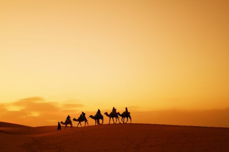 Camels are a frequent site atop these dunes of the Sahara.