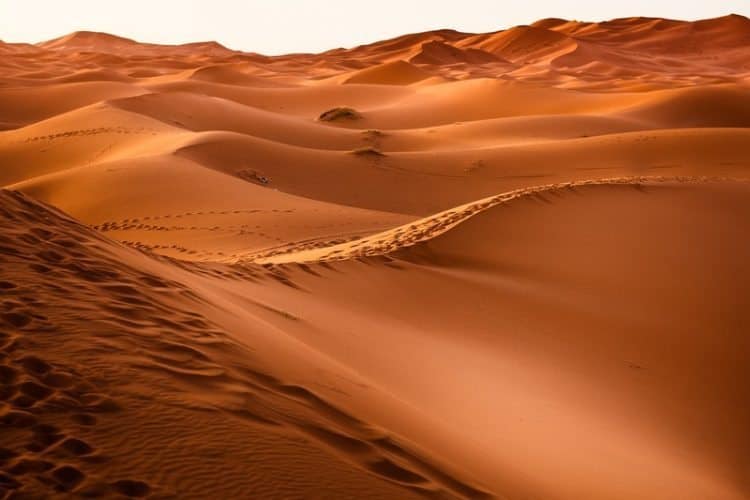 Western Sahara desert view.