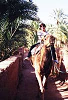 Riding on the trail