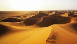 Sahara sand dunes