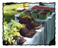 Sleeping in the Hay: Farm Stays in New England 2 Farm Stays in New England