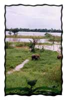 Taking the bus from Udon Thani to Vientiane Laos via the Friendship Bridge
