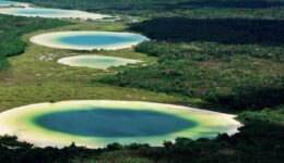 There are 5,313 records for geo-referenced cenotes in the Yucatan Peninsula.