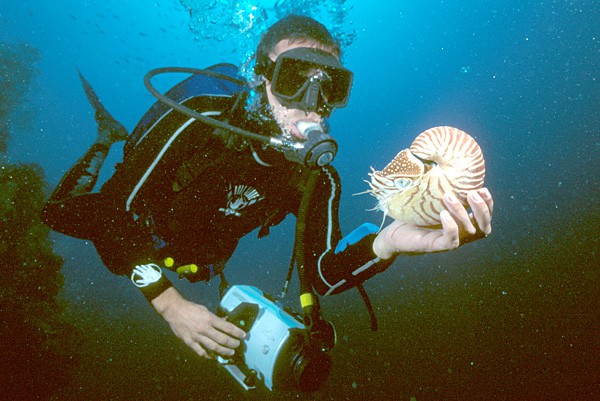 Palau offers perhaps the world’s finest diving.