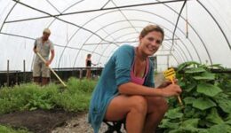WWOOFing in New Zealand at an organic farm. Stay for free, just do your chores!