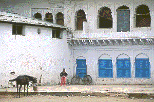 Getting a Job as a Caretaker 1 You can get a job as a caretaker at a place like this! photo: www.nataras.com
