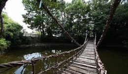 rickety-bridge